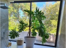 Extension d'une salle de bain avec une verrière en aluminium Technal à Gardanne